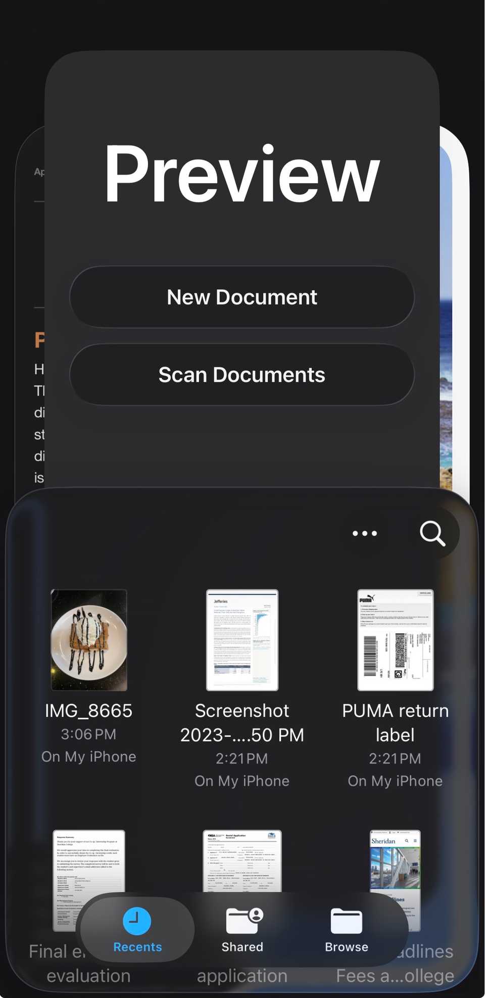 La interfaz para Vista previa en iPhone.